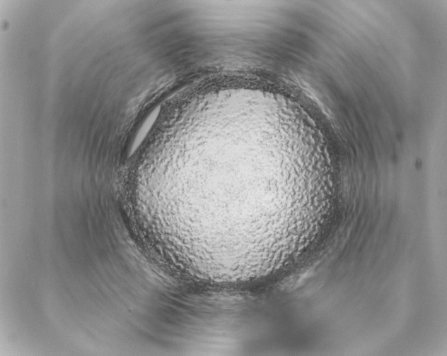 X0000088180545200706051144