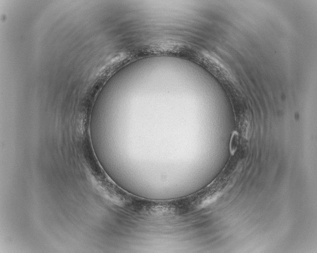 X0000088180546200706051144