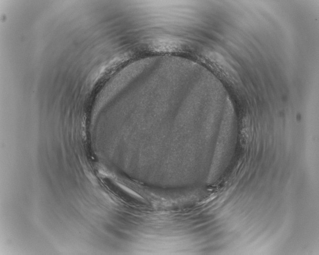 X0000088180547200706051144