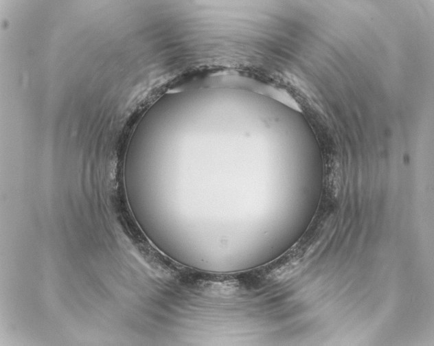 X0000088180548200706051144