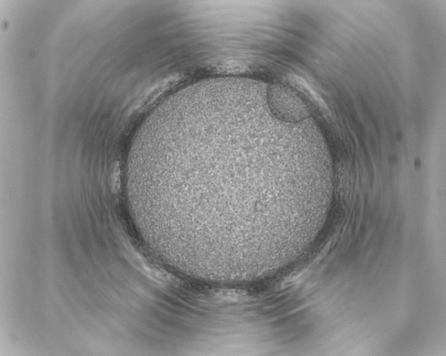 X0000088180549200706051144