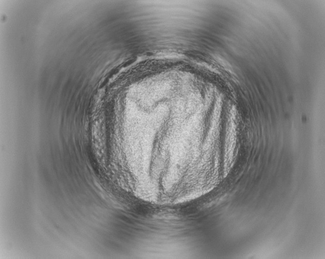 X0000088180550200706051144