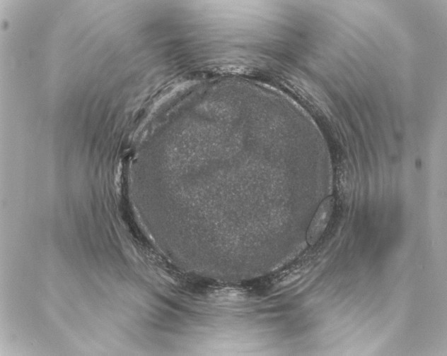 X0000088180551200706051144