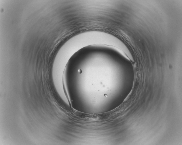 X0000088180552200706051144