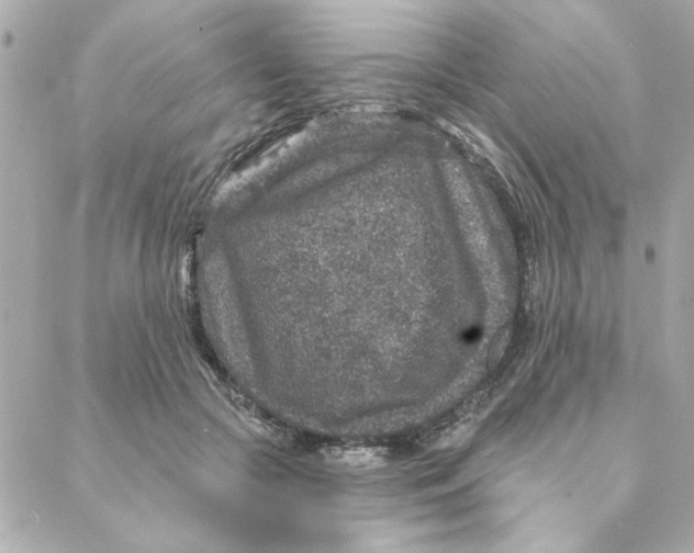 X0000088180553200706051144