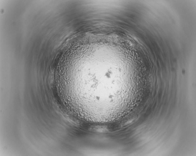 X0000088180554200706051144