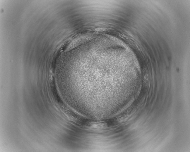 X0000088180555200706051144