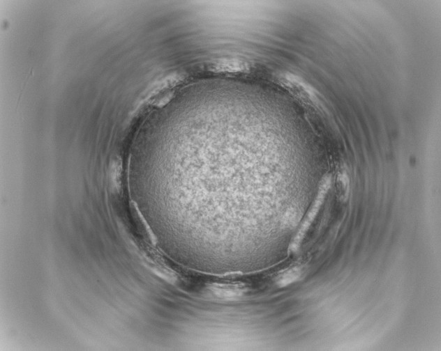 X0000088180556200706051144