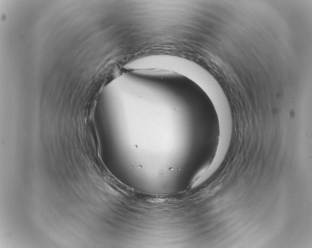 X0000088180558200706051144