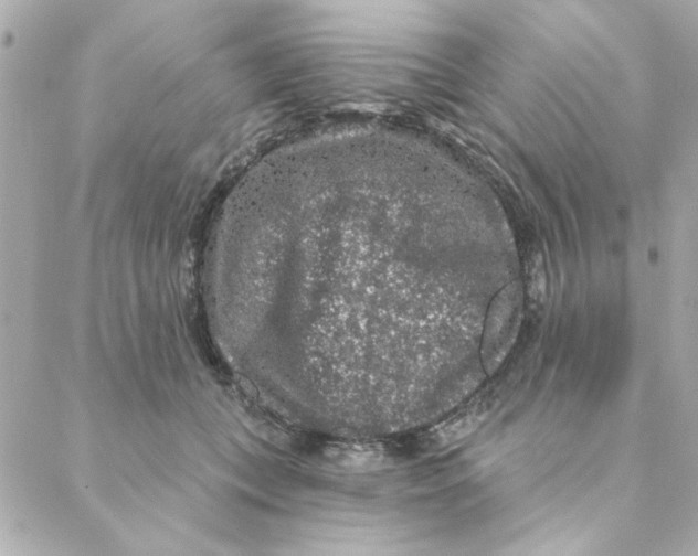 X0000088180559200706051144