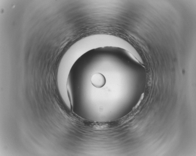 X0000088180560200706051144