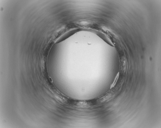 X0000088180562200706051144