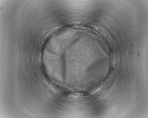 X0000088180563200706051144