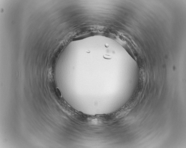 X0000088180564200706051144