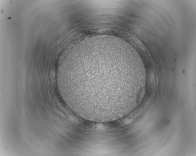 X0000088180565200706051144