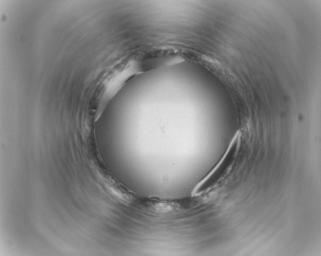 X0000088180566200706051144