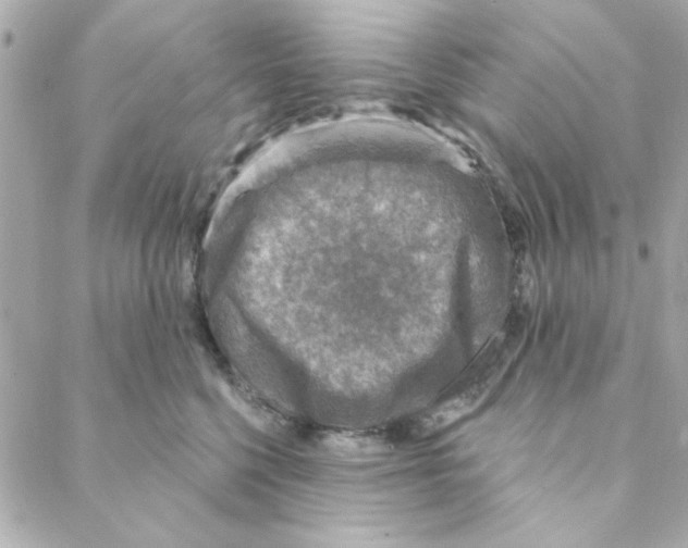 X0000088180568200706051144