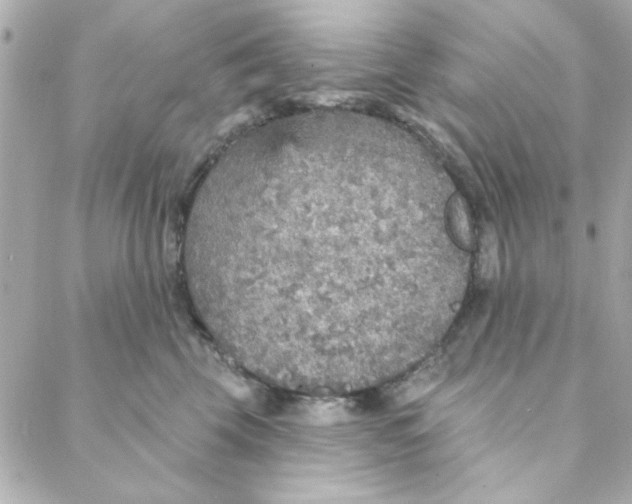 X0000088180569200706051144