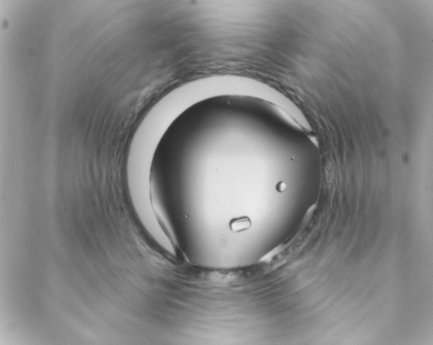 X0000088180570200706051144