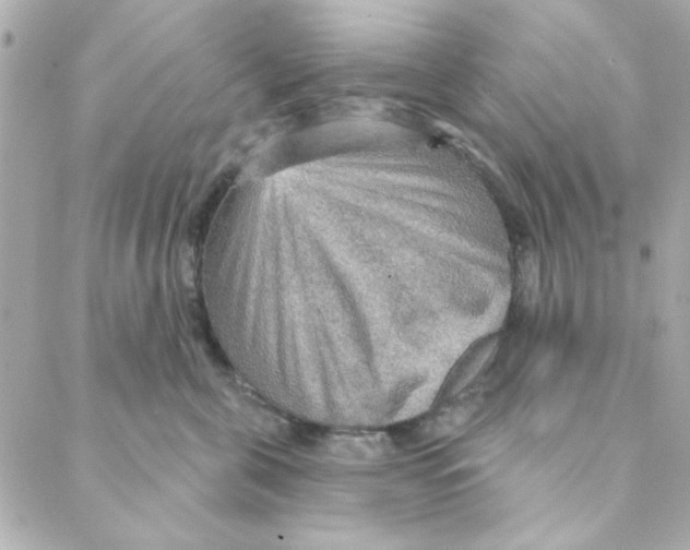 X0000088180571200706051144