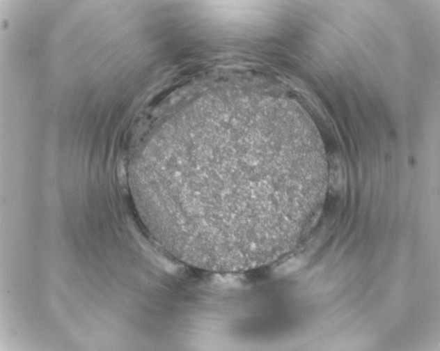 X0000088180573200706051144