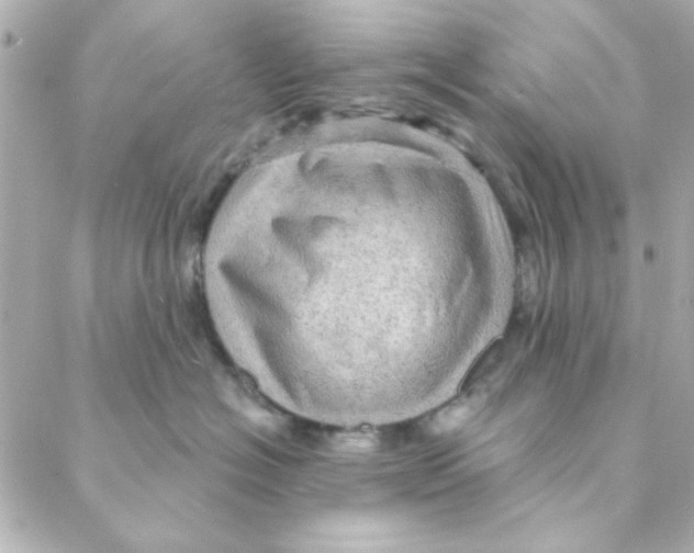 X0000088180574200706051145