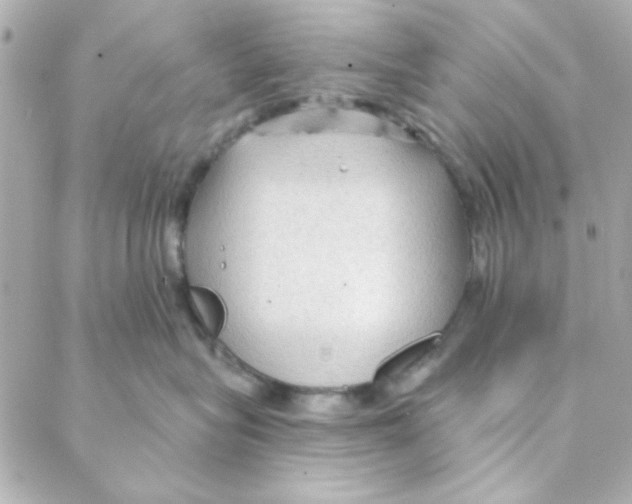 X0000088180575200706051145