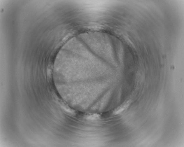 X0000088180576200706051145