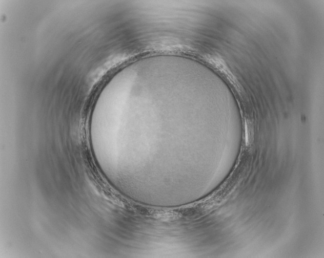 X0000088180579200706051144