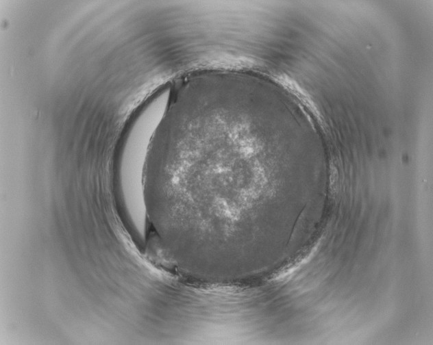 X0000088180581200706051144