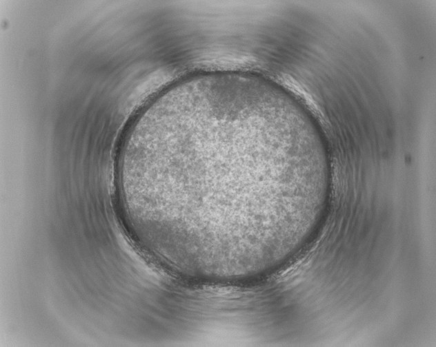 X0000088180582200706051144