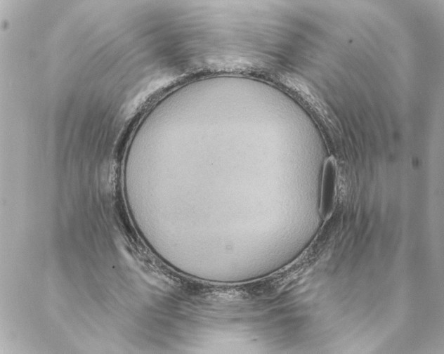 X0000088180583200706051144