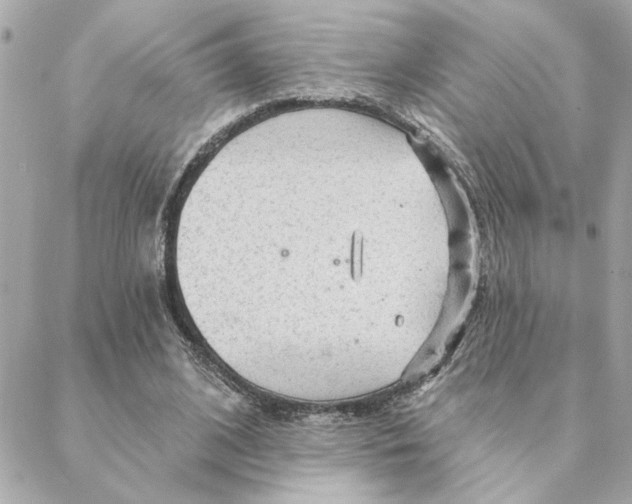 X0000088180584200706051144