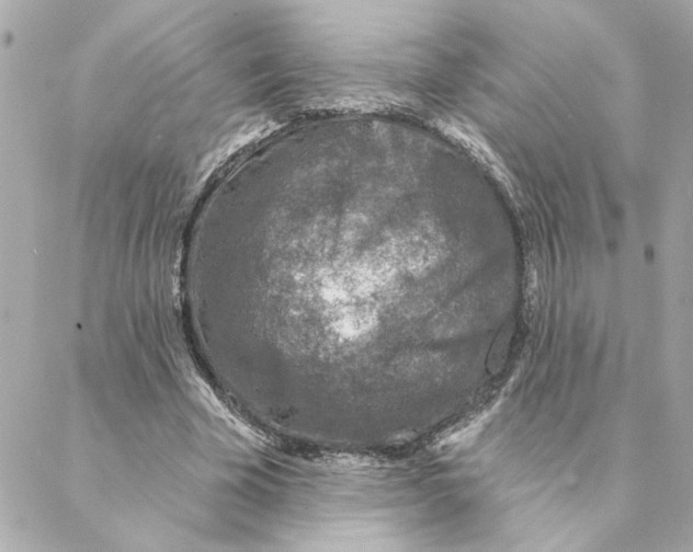 X0000088180585200706051144