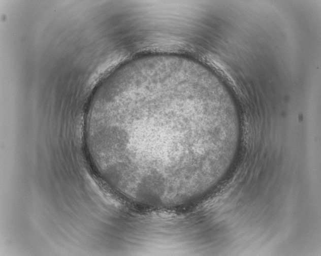 X0000088180586200706051144