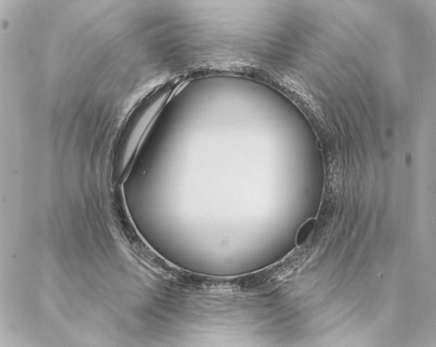 X0000088180587200706051144