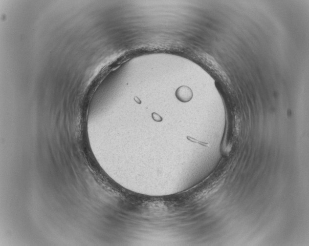 X0000088180588200706051144