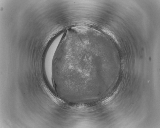 X0000088180589200706051144