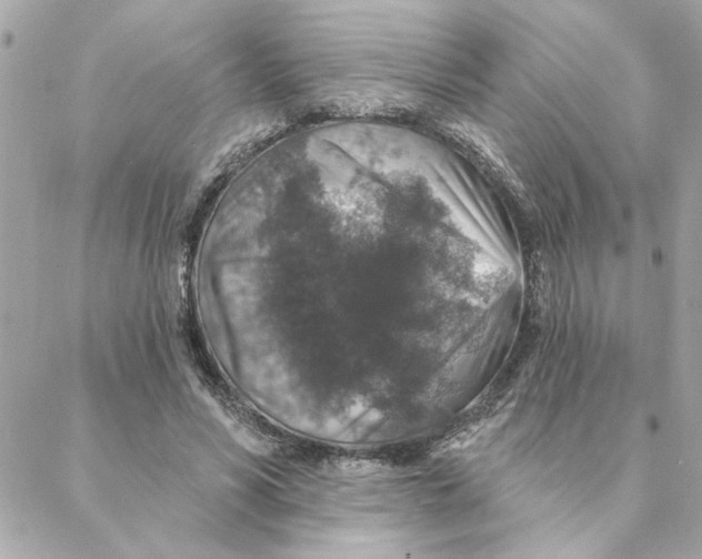 X0000088180590200706051144