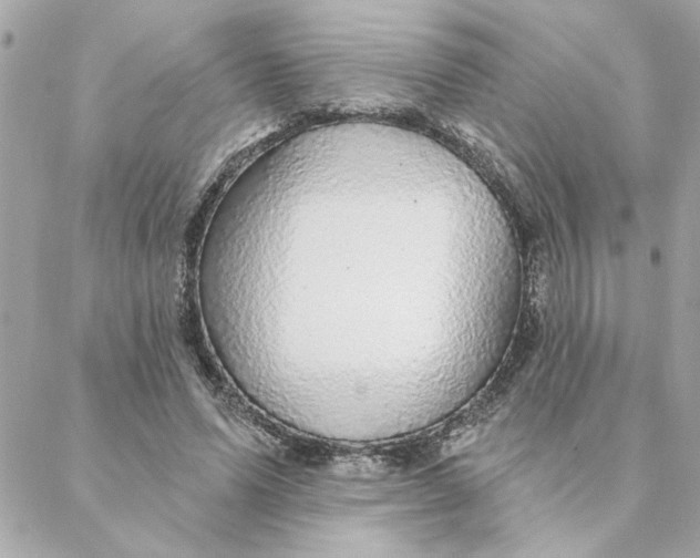 X0000088180591200706051144