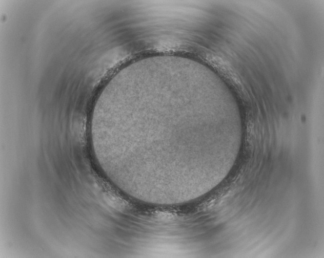 X0000088180592200706051144