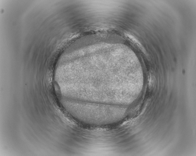 X0000088180593200706051144