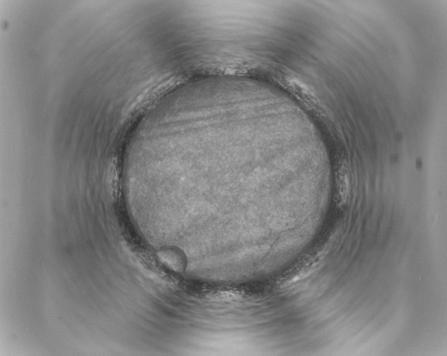 X0000088180594200706051143