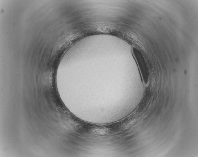 X0000088180595200706051143