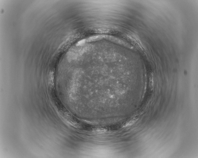 X0000088180598200706051143