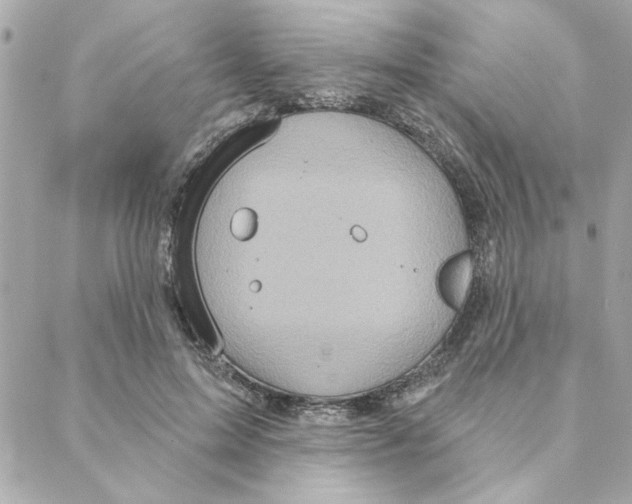 X0000088180599200706051143