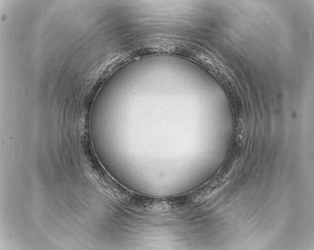 X0000088180600200706051143