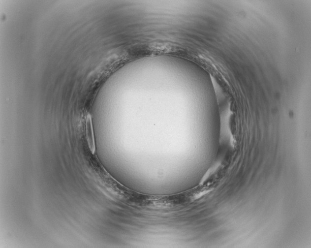 X0000088180601200706051143