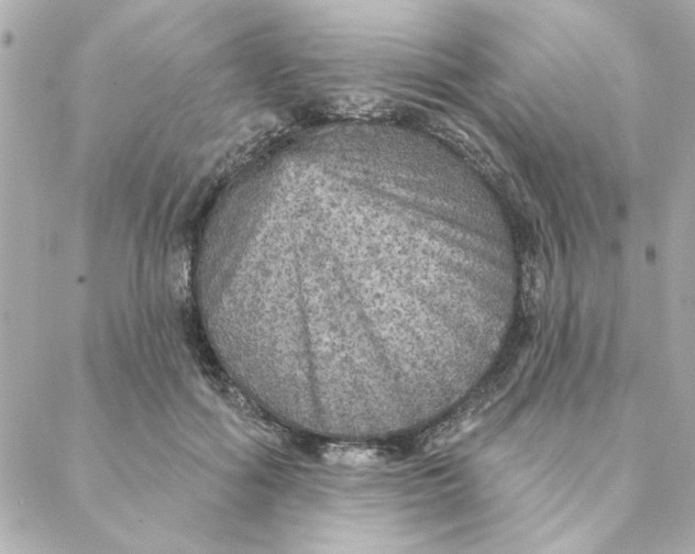 X0000088180602200706051143