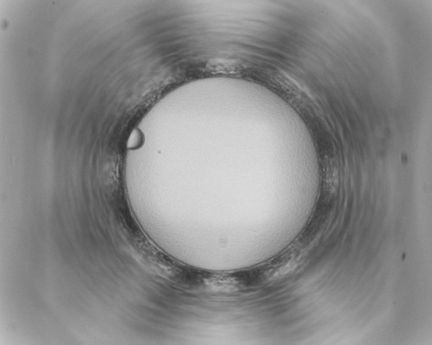 X0000088180603200706051143